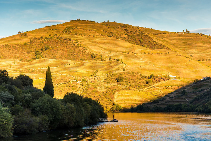 douro-2989559_1920.jpg